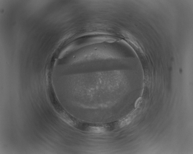 X0000051250167200506171145