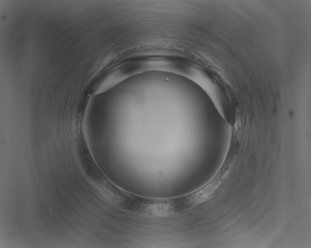 X0000051250168200506171145