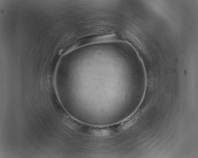 X0000051250169200506171145