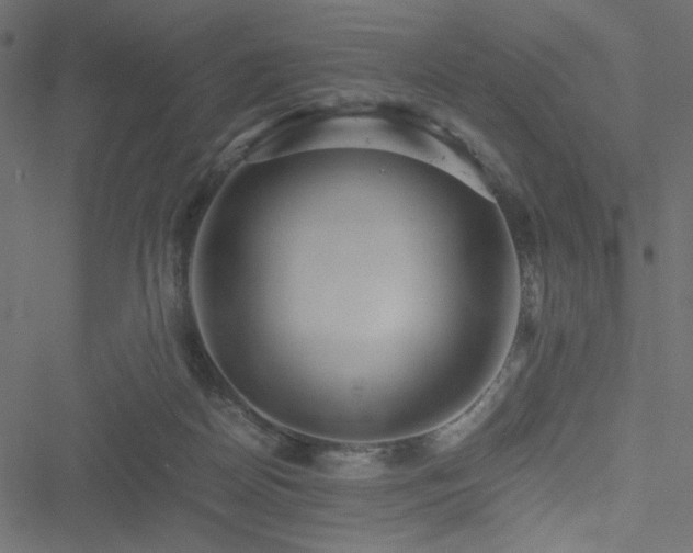 X0000051250170200506171145