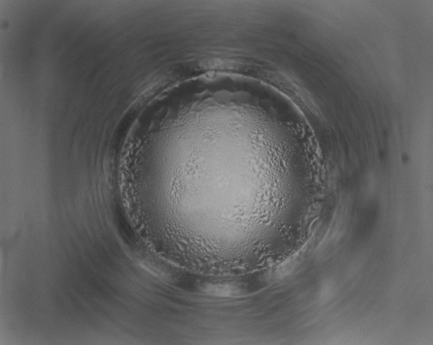 X0000051250171200506171145