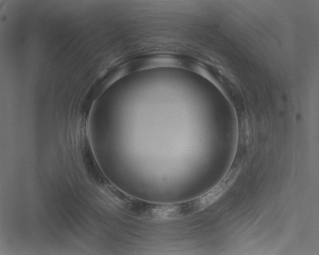 X0000051250172200506171145