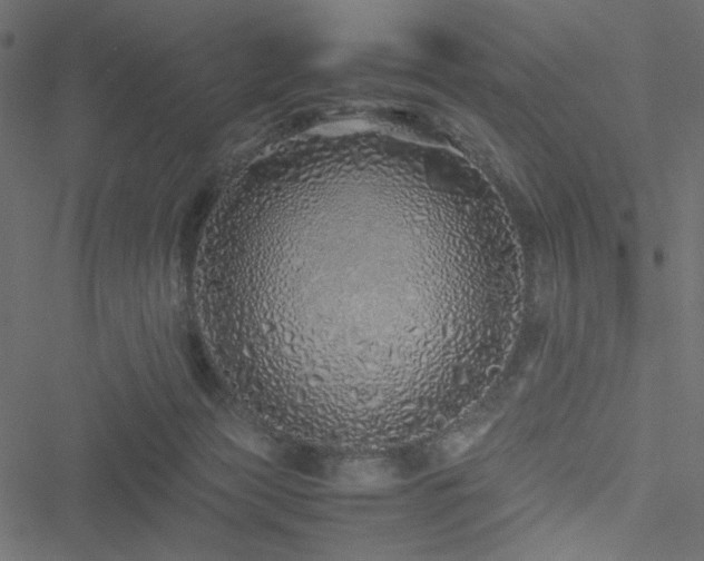 X0000051250173200506171145