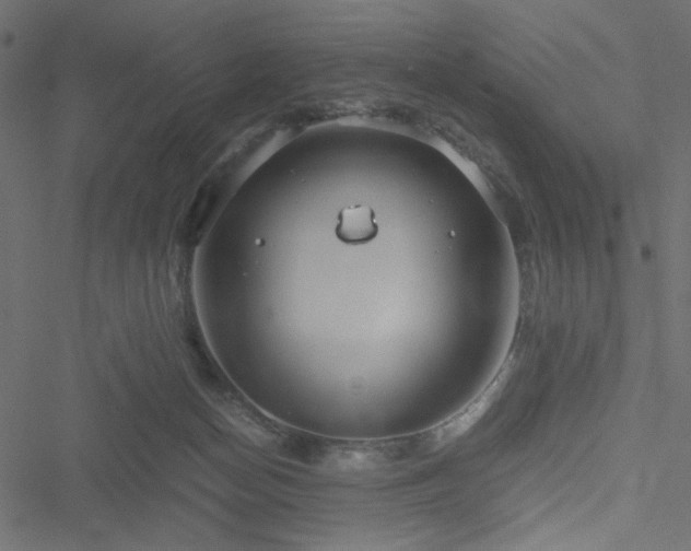 X0000051250174200506171145