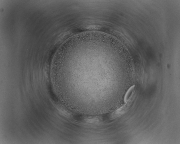 X0000051250175200506171145