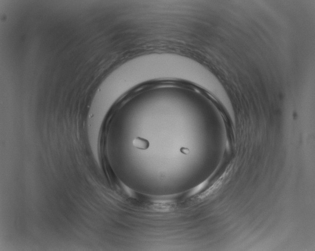 X0000051250176200506171145