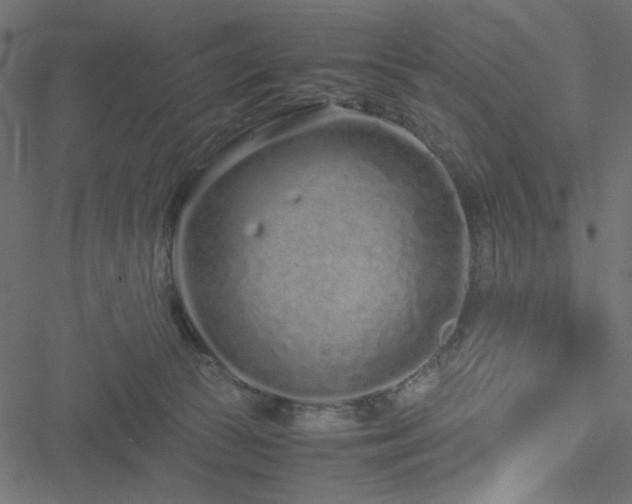 X0000051250177200506171145