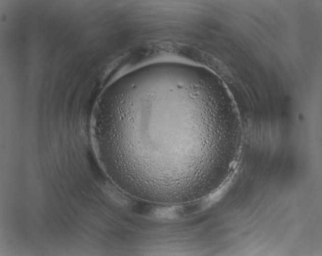 X0000051250178200506171145