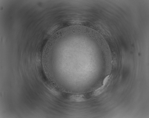 X0000051250179200506171145