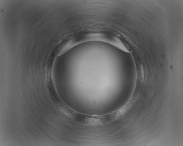 X0000051250180200506171145