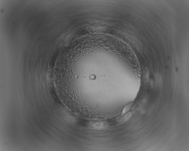 X0000051250181200506171145