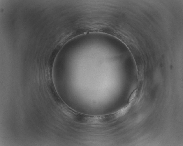 X0000051250182200506171145