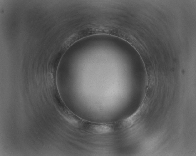 X0000051250183200506171145