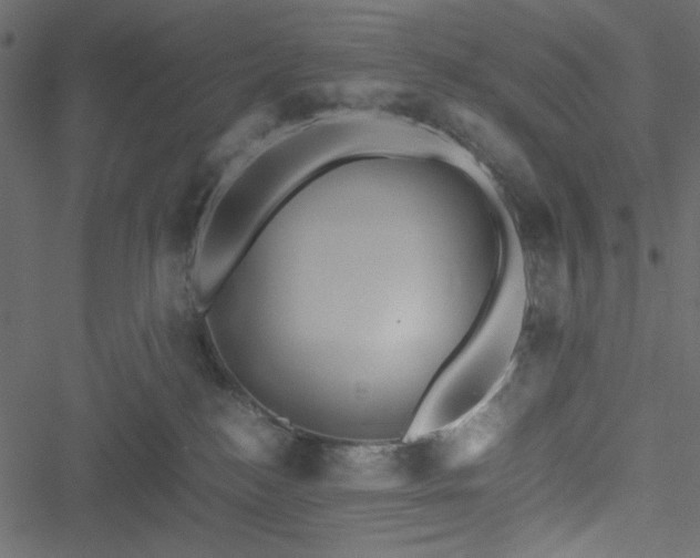 X0000051250184200506171145