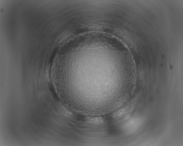 X0000051250185200506171145