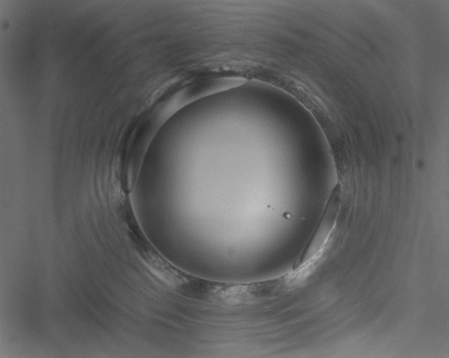 X0000051250186200506171145