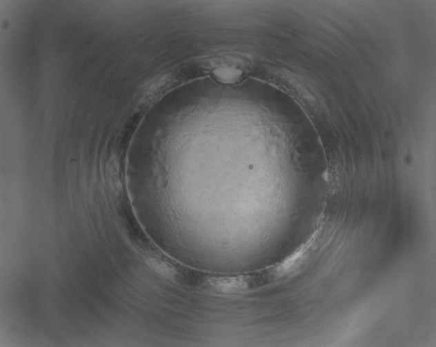 X0000051250187200506171145