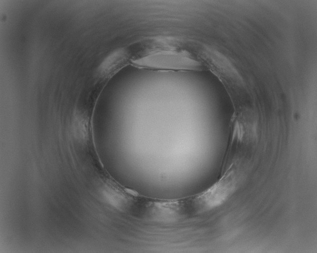 X0000051250188200506171145