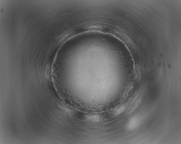 X0000051250189200506171145