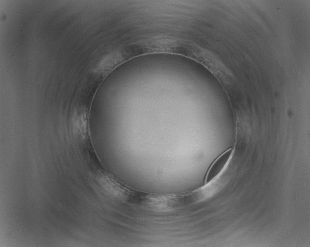 X0000051250190200506171145