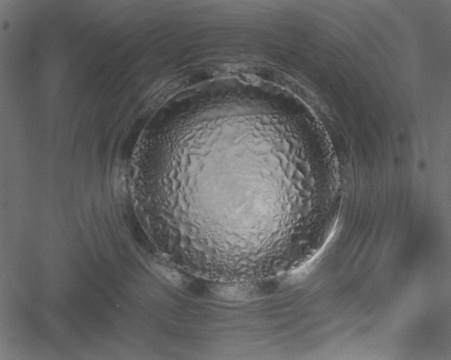 X0000051250191200506171145