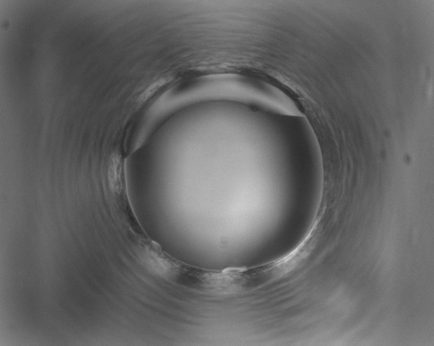 X0000051250192200506171145