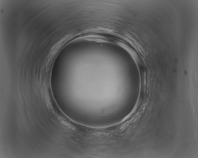 X0000051250193200506171144