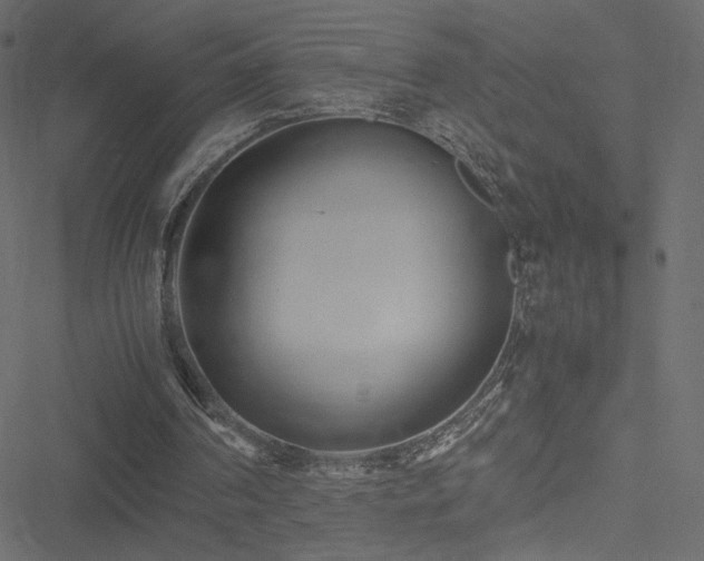 X0000051250194200506171144