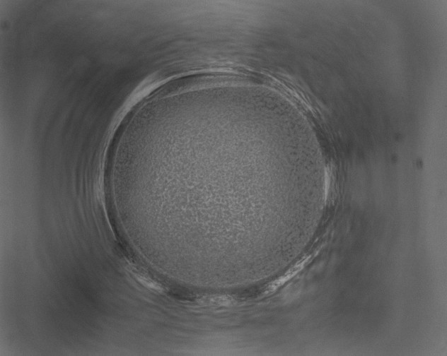 X0000051250195200506171144