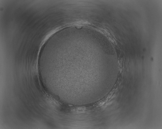 X0000051250196200506171144