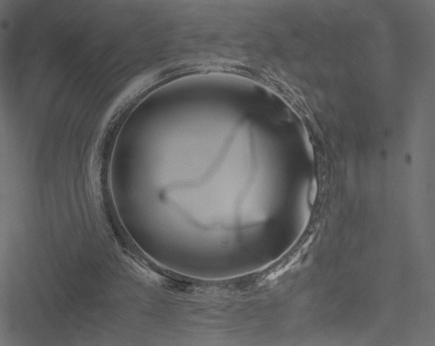 X0000051250197200506171144