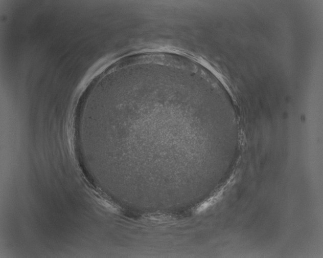 X0000051250199200506171144