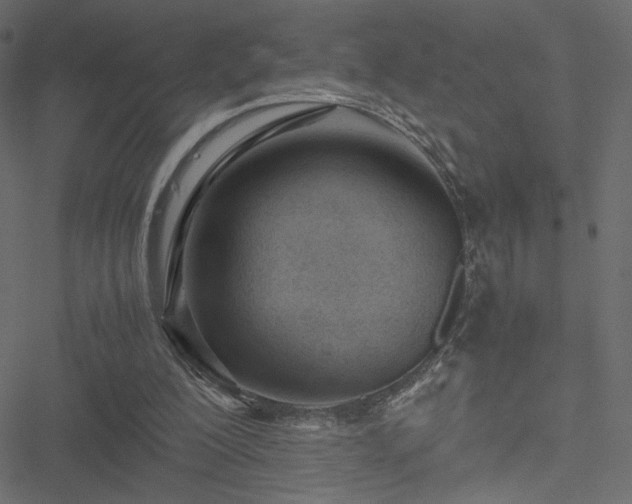 X0000051250200200506171144