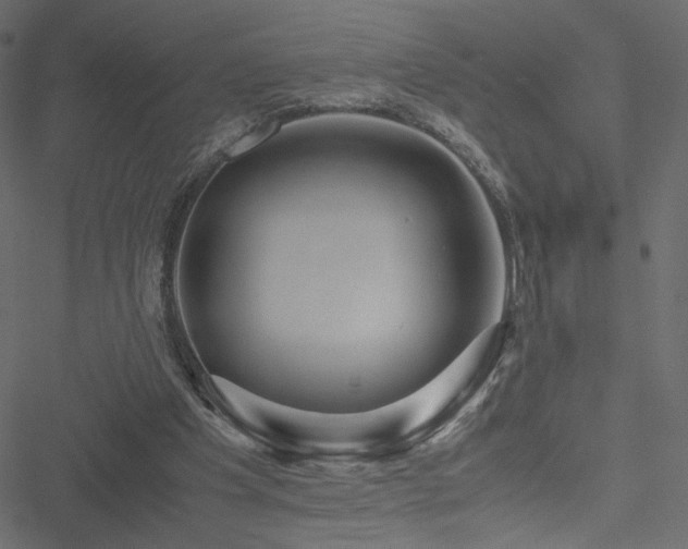 X0000051250201200506171144