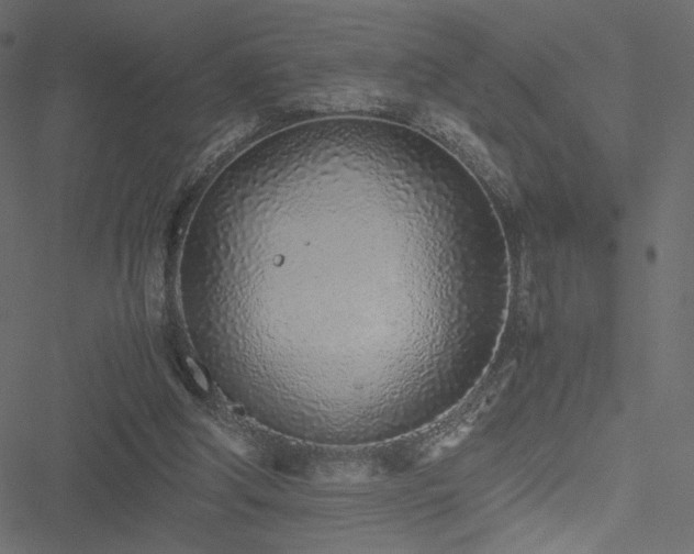 X0000051250202200506171144