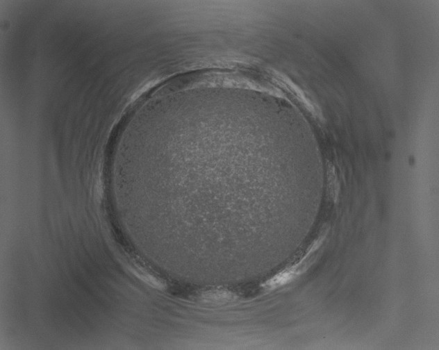 X0000051250203200506171144