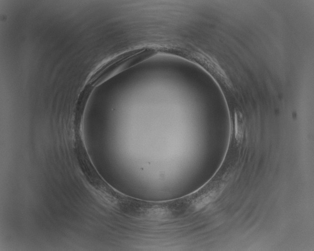 X0000051250204200506171144