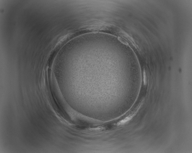 X0000051250205200506171144