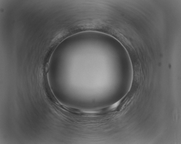 X0000051250207200506171144