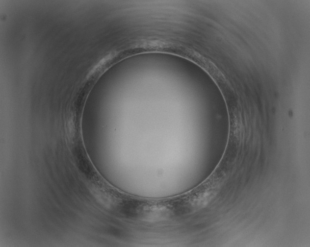 X0000051250208200506171144