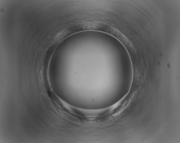 X0000051250209200506171144