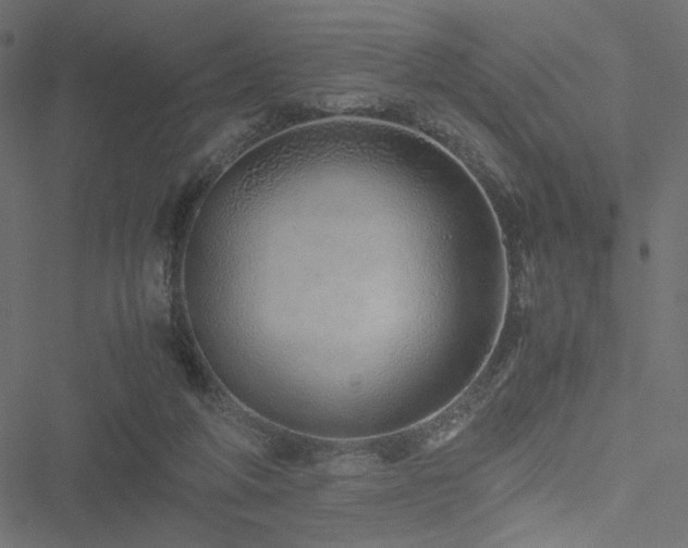 X0000051250210200506171144