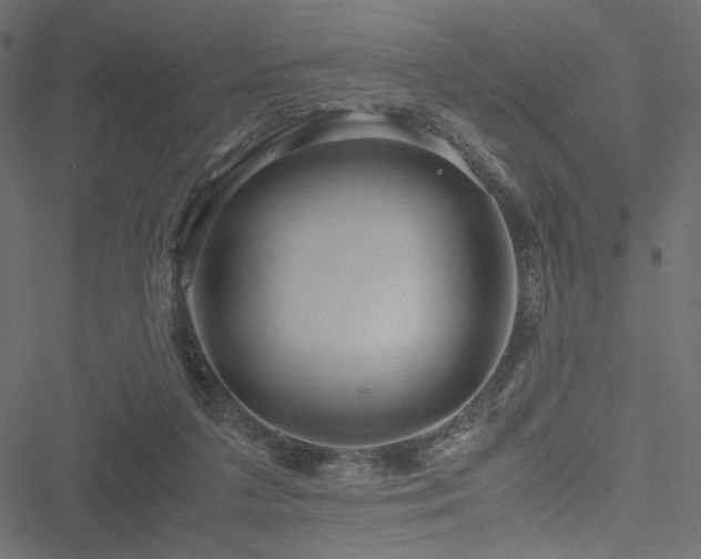 X0000051250211200506171144