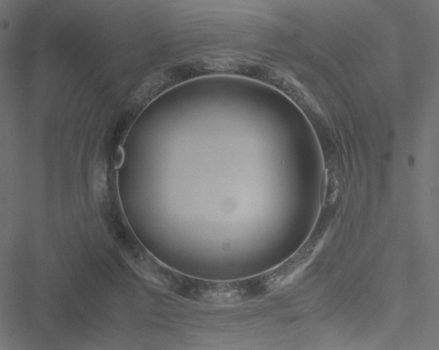 X0000051250213200506171144