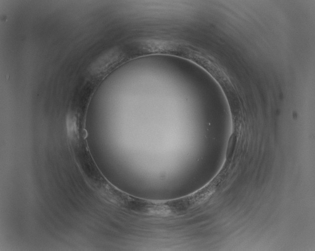 X0000051250214200506171144