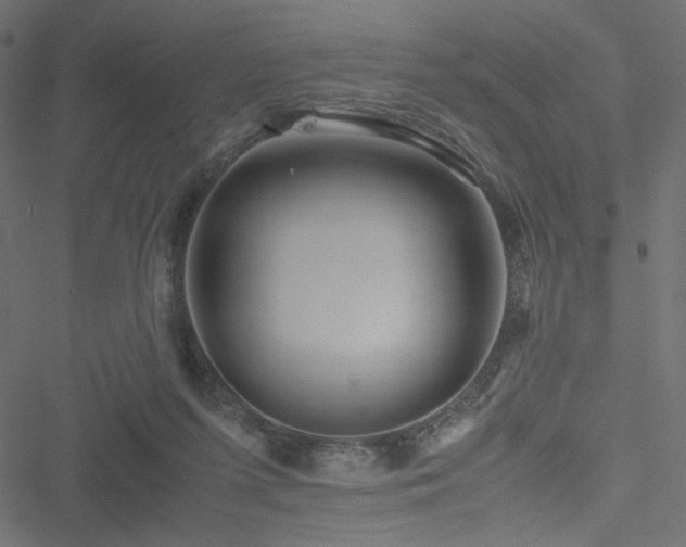 X0000051250215200506171144