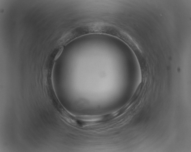 X0000051250217200506171144