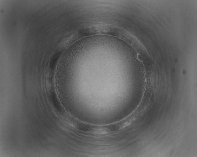 X0000051250218200506171144