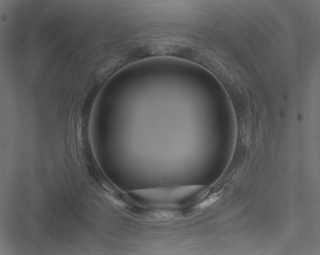 X0000051250219200506171144