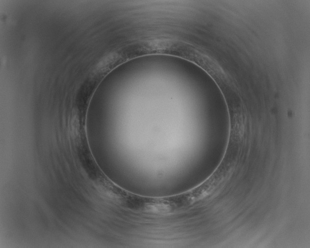 X0000051250220200506171144